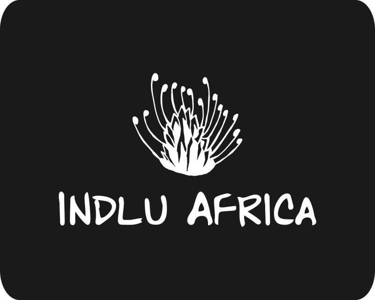 Indlu Africa