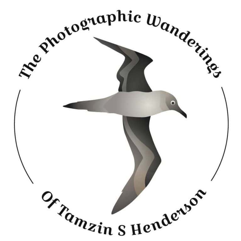 The Photographic Wanderings of Tamzin S Henderson