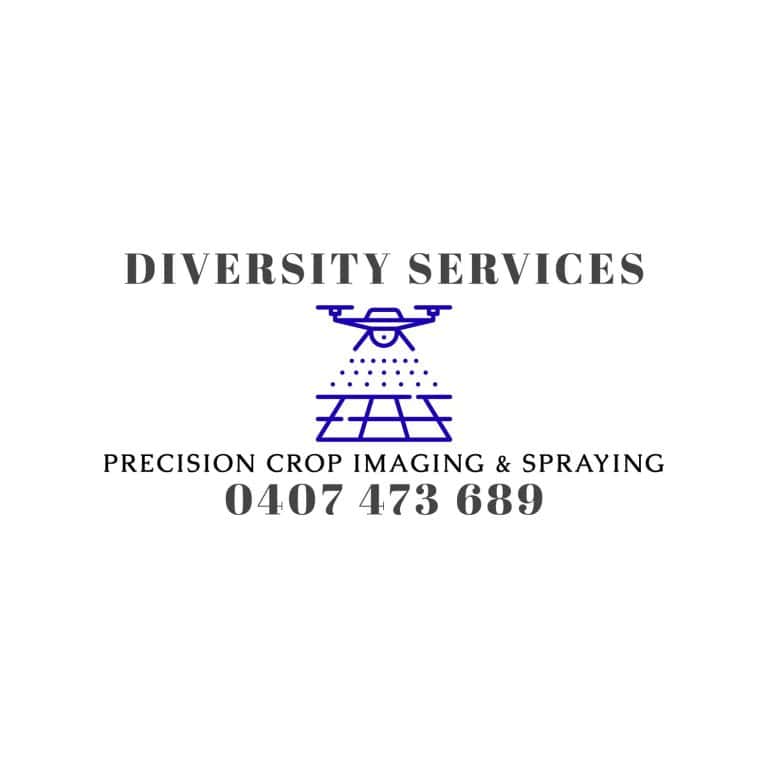 Diversity Services