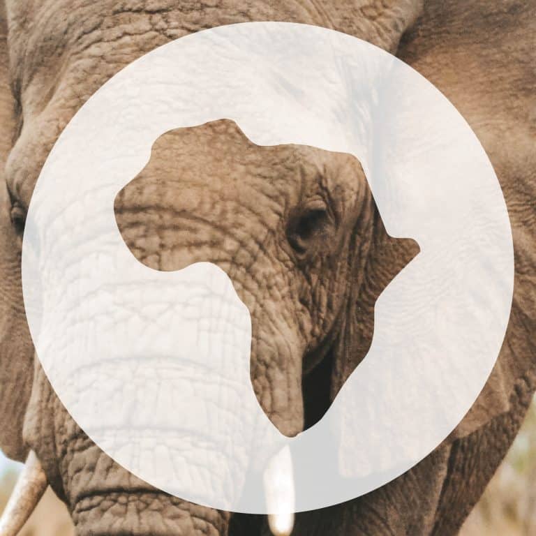 Go 2 Africa