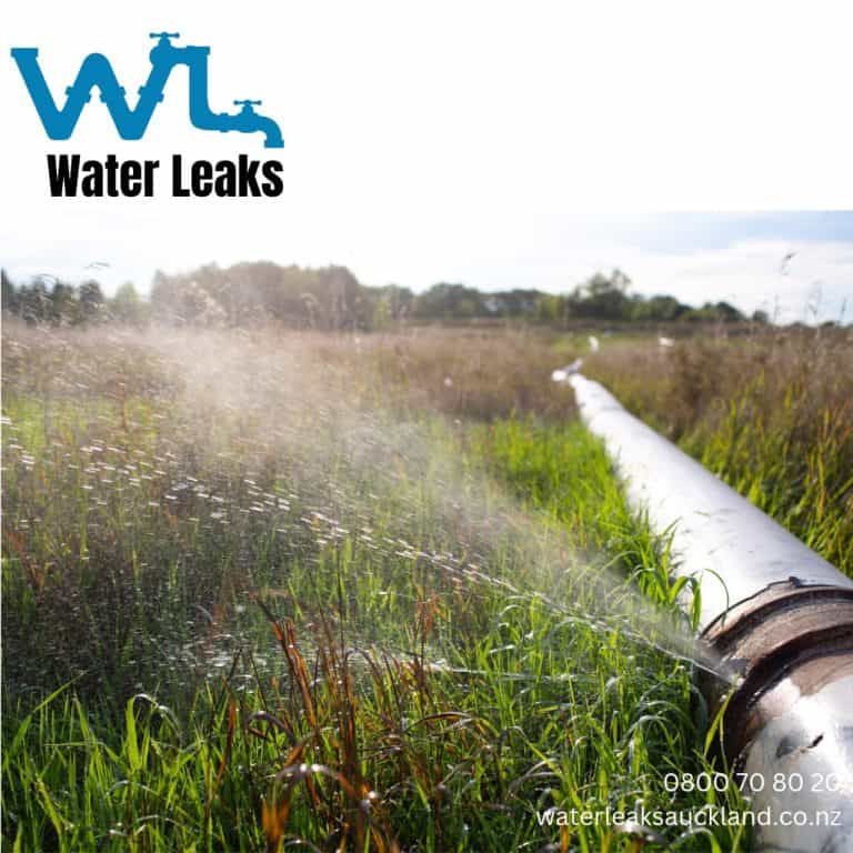 Water Leaks Auckland